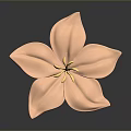 Pink Flower With Elegant Soft Petals And Bright Yellow Stamens On Reflective Surface
