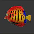 Vibrant Tropical Fish With Red Yellow Blue Striped Pattern And Yellow Tail