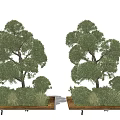 Lush Green Trees And Shrubs In Decorative Flower Bed And Planter Landscape Design