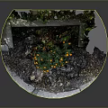 Yellow Flowers Growing in Circular Stone Planter with Soil and Broken Stones