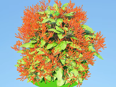 Vibrant Potted Plant With Orange Flowers And Green Leaves Against Blue Sky 3d model