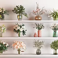 Colorful Vase Flowers On White Shelves With Various Vase Colors And Flower Types