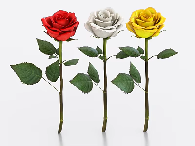Beautiful Red White Yellow Roses With Green Leaves And Stems On White Background 3d model