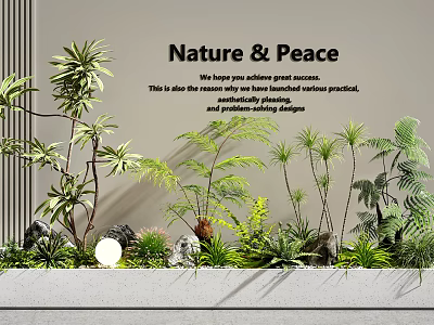 Indoor Natural Peaceful Plant Combination With Succulent Ferns Stone Decor And Pollution Reducing Design 3d model
