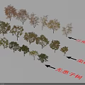 Various Arbor Varieties Including Triangle Maple Koelreuteria And Soapberry Trees 3d model