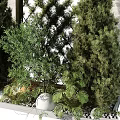 Modern Green Plant Wall Design With Lattice Structure And Surrounding Evergreen Trees