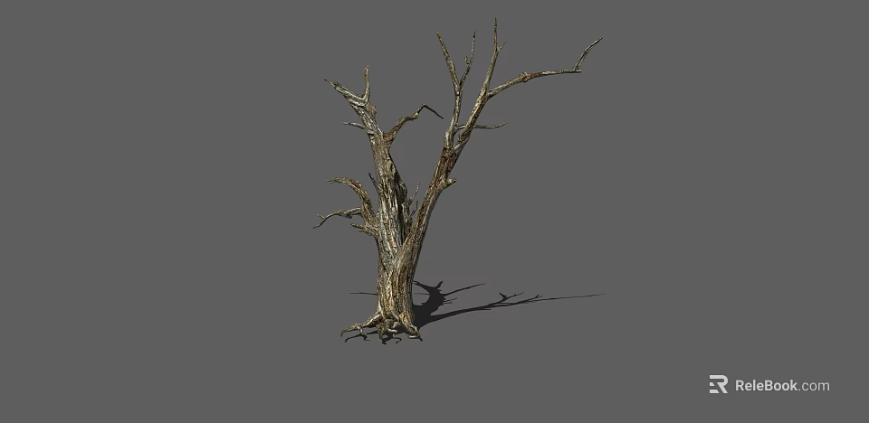 Isolated Dry Leafless Tree With Rough Bark Standing On Gray Background 3d model 