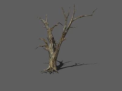 Isolated Dry Leafless Tree With Rough Bark Standing On Gray Background 3d model