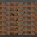 Modern Wooden Room Divider With Grid Design And Green Plant Behind