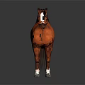 Realistic Chestnut Horse Standing With Shiny Coat Against Gray Background