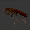 3D Rendered Red Brown Cockroach With Long Antennae And Legs On Grey Surface