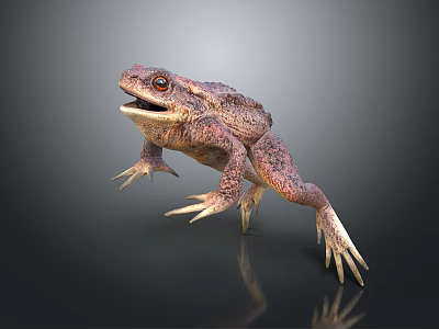 Realistic Spotted Toad With Large Eyes Leaping On Dark Background 3d model