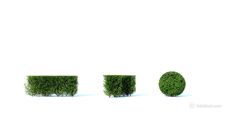 Different Shaped Garden Bushes for Landscaping Design Ideas 3d model 