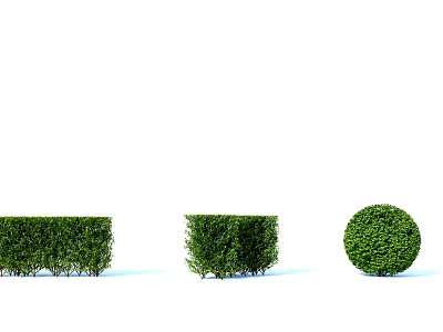Different Shaped Garden Bushes for Landscaping Design Ideas 3d model