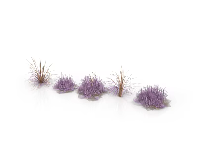 Purple Decorative Plants With Clustered Growth And Thin Stems In Group 3d model