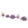 Purple Decorative Plants With Clustered Growth And Thin Stems In Group