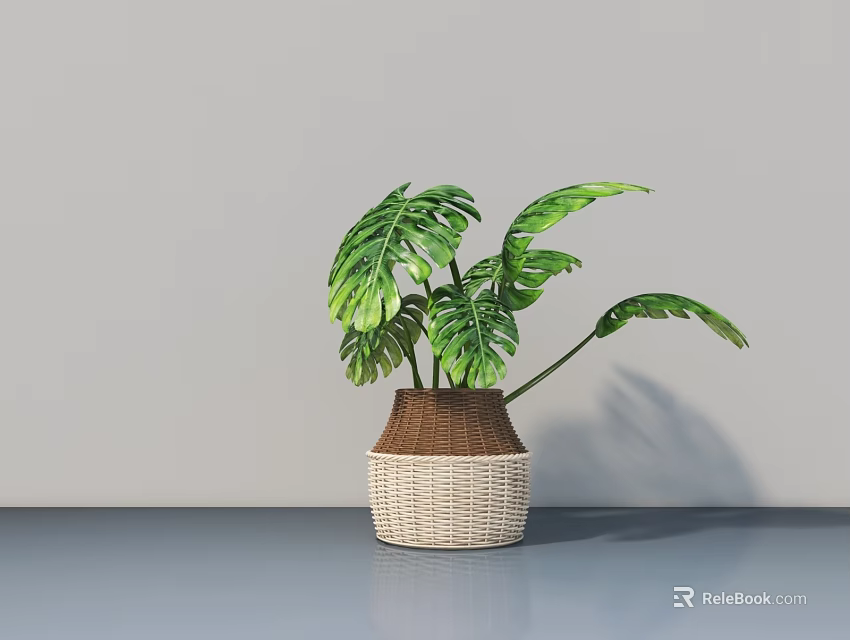 Potted Monstera Plant With Woven Brown And Beige Planter On Gray Table Surface 3d model 