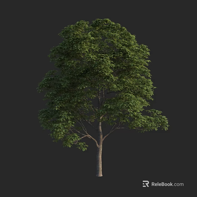 Lush Green Arbor With Dense Foliage And Brown Trunk Against Dark Background 3d model 