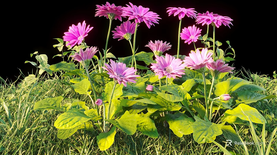 Beautiful Pink Flowers with Green Leaves Growing on Lush Green Grass 3d model 
