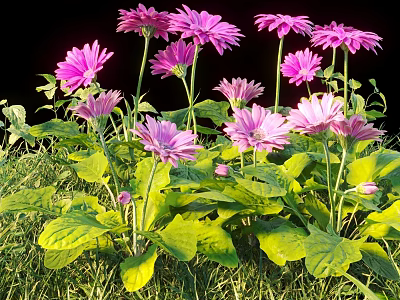 Beautiful Pink Flowers with Green Leaves Growing on Lush Green Grass 3d model