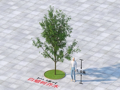 362018 of plants of ash trees 3d model