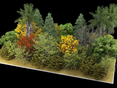 Diverse Trees Collection Showcasing Multiple Arbor Varieties With Colorful Foliage And Green Leaves 3d model