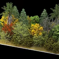 Diverse Trees Collection Showcasing Multiple Arbor Varieties With Colorful Foliage And Green Leaves