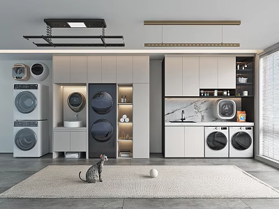 Home Balcony Laundry Space With Washing Machines Dryers Cabinets Cat On Rug And Window Blinds 3d model