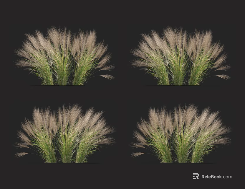 Showcase Multiple Herbaceous Plants With Green Stems And White Fluffy Tops On Black Background 3d model 