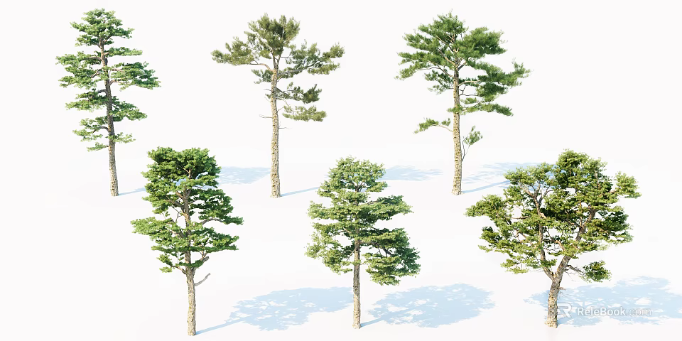 Various Arbor Tree Varieties With Diverse Green Foliage And Natural Trunks 3d model 