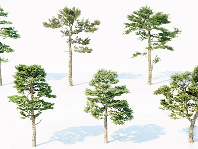 Various Arbor Tree Varieties With Diverse Green Foliage And Natural Trunks 3d model