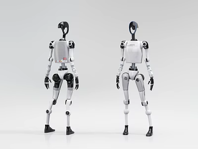 Two Intelligent White Humanoid Robots With Articulated Joints Standing On White Background 3d model