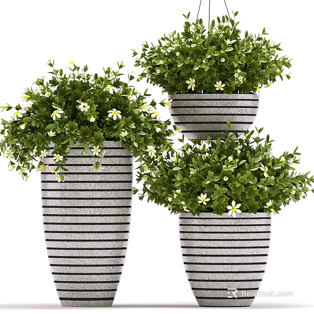 Three Stylish Striped Potted Plants With Green Leaves And White Flowers 3d model 