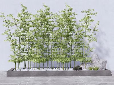 Tall Green Bamboo Plants in Modern Planter Box with Pebbles and Decorative Stones 3d model