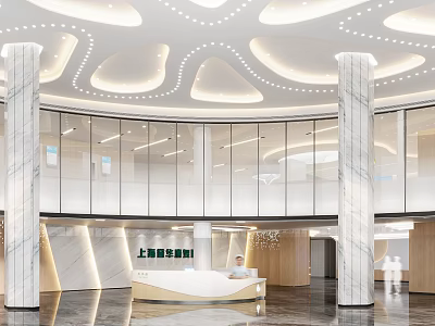 Modern Hospital Outpatient Clinic Reception With Marble Columns And Ceiling Lights 3d model