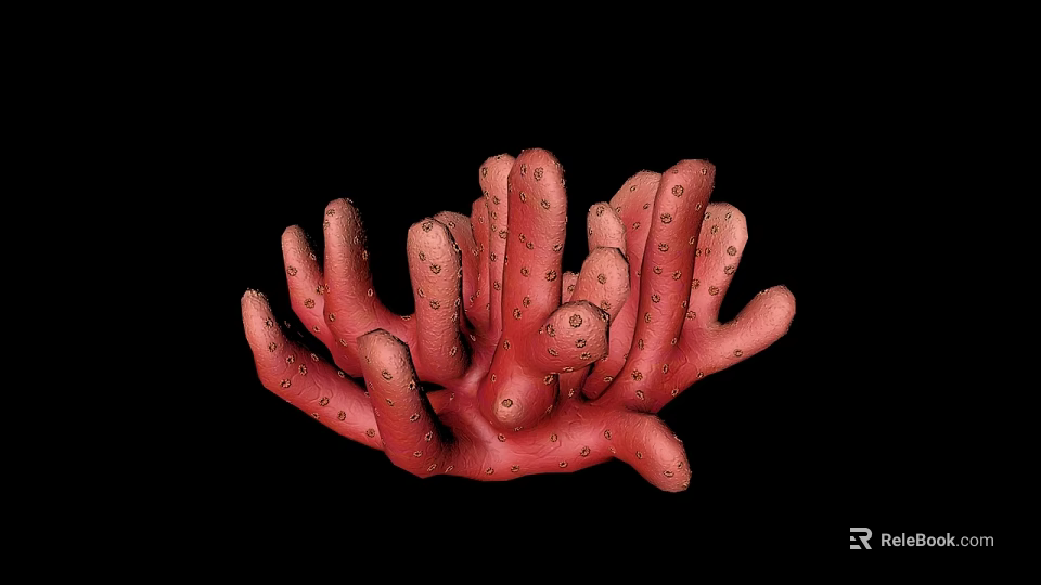 Red Coral Polyps As Aquatic Animals With Branching Structure And Small Surface Pores 3d model 