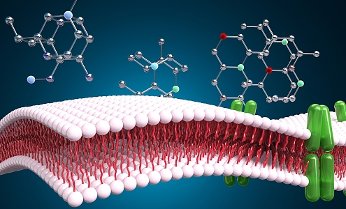 Modern viral infections 3d model