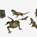 Reptile Lizards Shown In Multiple Angles With Natural Poses And Detailed Features