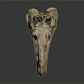Ancient Dinosaur Skull Fossil With Intricate Bone Structure And Sharp Teeth