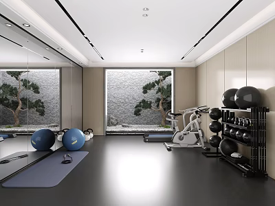 Modern Entertainment Room With Yoga Mat Exercise Balls Exercise Bike Dumbbell Rack And Large Windows 3d model