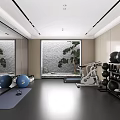 Modern Entertainment Room With Yoga Mat Exercise Balls Exercise Bike Dumbbell Rack And Large Windows