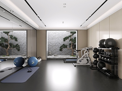 Modern Gym Home Gym 3d model