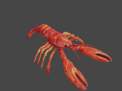 Cooked Red Lobster Seafood Dish With Fresh Juicy Meat For Dining 3d model