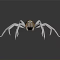 Realistic 3D Rendered Spider With White Legs And Brown Body On Gray Background