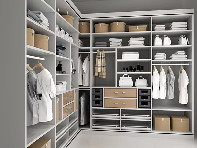 Modern Closet Interior Design With Hanging Clothes Organized Shelves Drawers And Storage Boxes 3d model