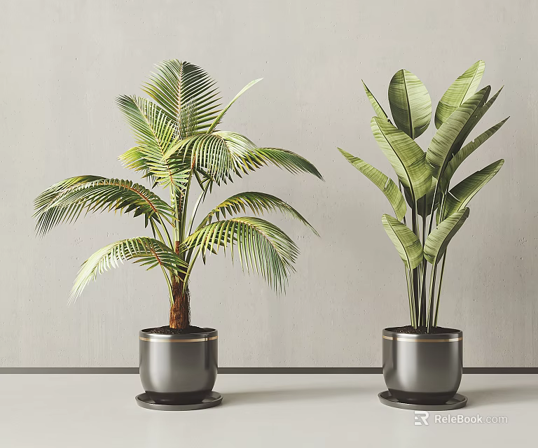 Potted Plants With Palm Like And Broad Leaf In Metal Pots Gray Wall Light Floor Background 3d model 