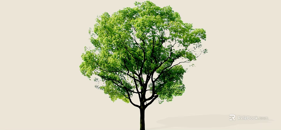 Tall Arbor With Lush Green Foliage And Strong Trunk In Natural Setting 3d model 