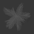 Lush Palm Tree with Green Feathery Leaves and Natural Tropical Foliage