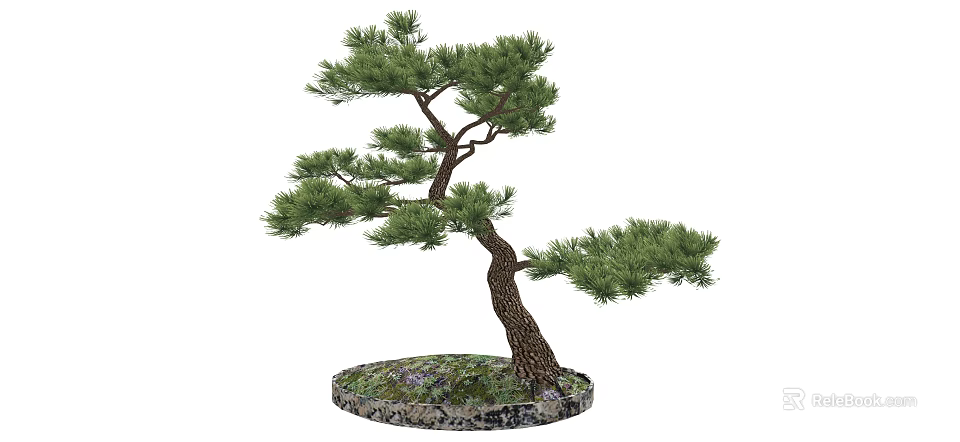 Decorative Bonsai Arbor With Curved Trunk Green Foliage And Circular Stone Moss Base 3d model 