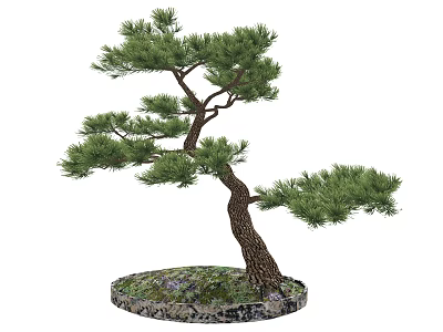 Decorative Bonsai Arbor With Curved Trunk Green Foliage And Circular Stone Moss Base 3d model